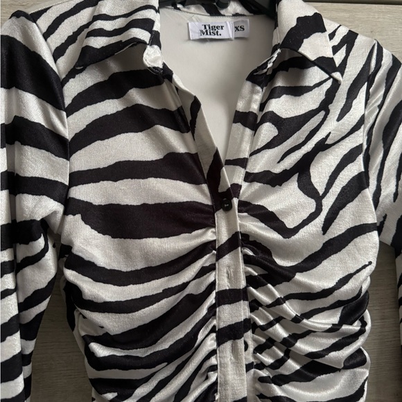 Zebra Print Ruched Dress - Picture 2 of 4